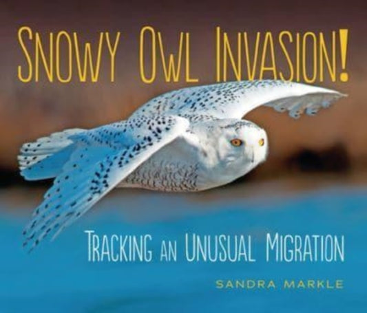 Book cover of: Snowy Owl Invasion!. By: Sandra Markle