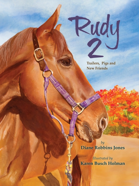 Book cover of: Rudy 2. By: Diane Robbins Jones