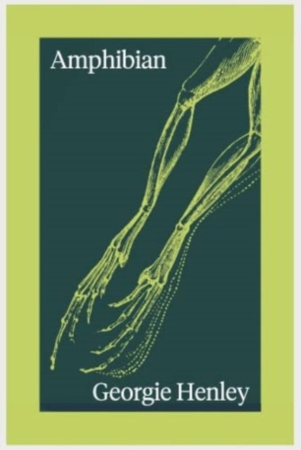 Book cover of: Amphibian