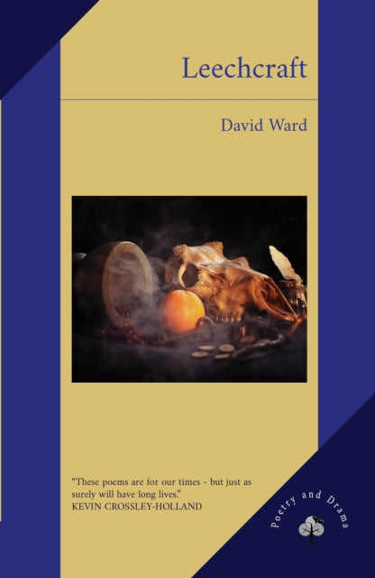 Book cover of: Leechcraft. By: David Ward