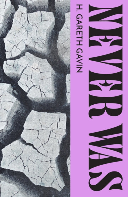 Book cover of: Never Was. By: H. Gareth Gavin