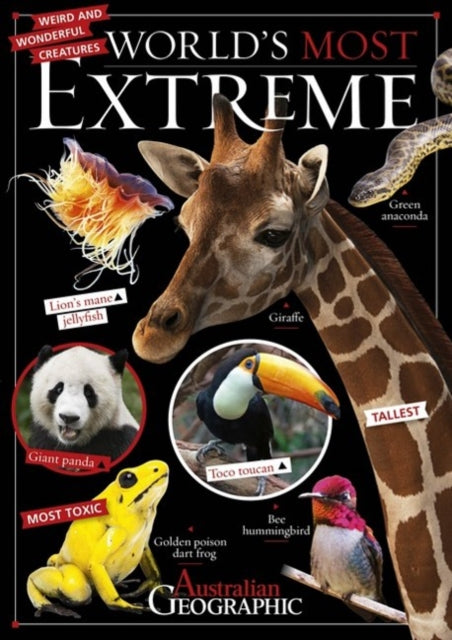 Book cover of: World's Most Extreme. By: Kathy Riley