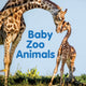 Book cover of: Baby Zoo Animals. By: New Holland Publishers