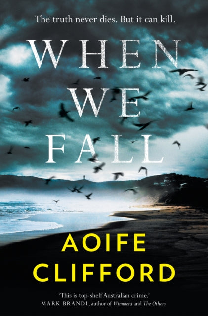 Book cover of: When We Fall