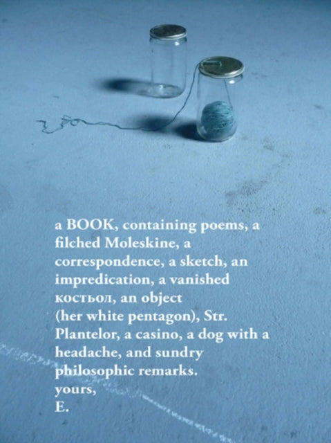 Book cover of: Unmemntioable. By: Erin Mouré