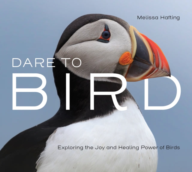Book cover of: Dare to Bird. By: Melissa Hafting