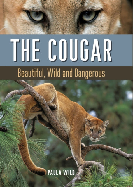 Book cover of: Cougar. By: Paula Wild