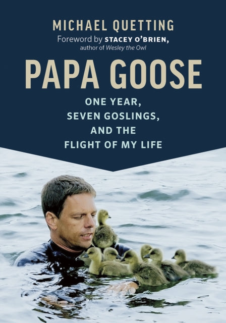 Book cover of: Papa Goose. By: Michael Quetting