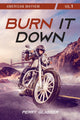 Book cover of: Burn It Down. By: Perry Glasser