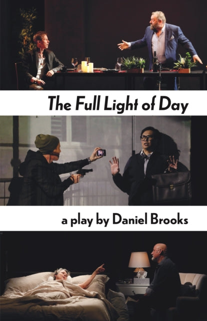 Book cover of: Full Light of Day. By: Daniel Brooks