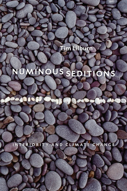 Book cover of: Numinous Seditions. By: Tim Lilburn