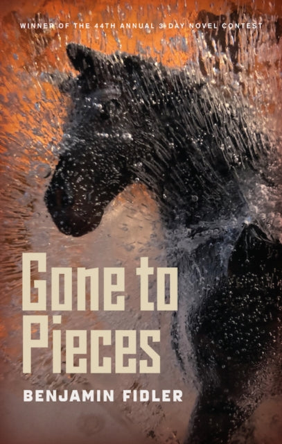 Book cover of: Gone to Pieces. By: Benjamin Fidler