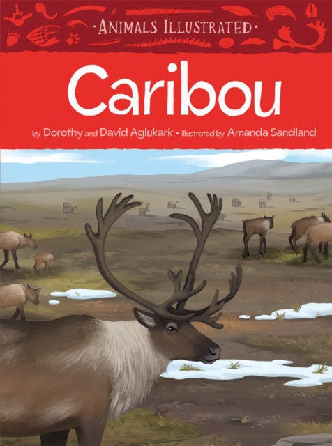 Book cover of: Animals Illustrated: Caribou. By: Inhabit Education