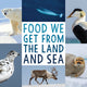 Book cover of: Food We Get from the Land and Sea. By: Inhabit Education