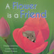 Book cover of: Flower is a Friend. By: Frieda Wishinsky