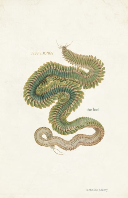 Book cover of: Fool. By: Jessie Jones