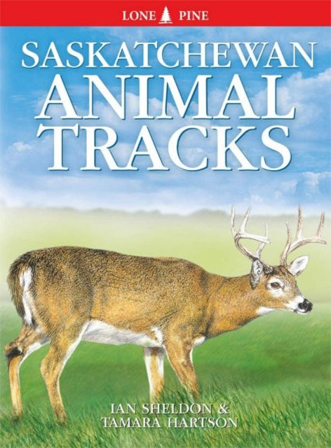 Book cover of: Saskatchewan Animal Tracks