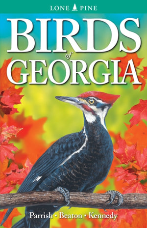 Birds of Georgia