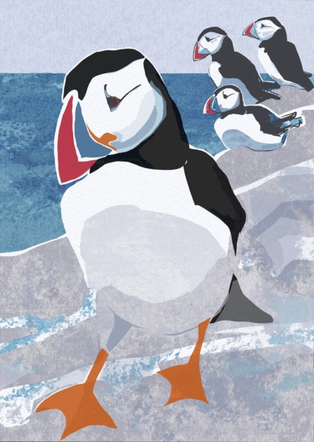 Book cover of: Nature Notebook: Puffin. By: Jane Smith