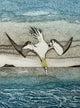 Book cover of: Wild Birds Pocket Notebook: Gannet. By: Sarah Ross-Thompson