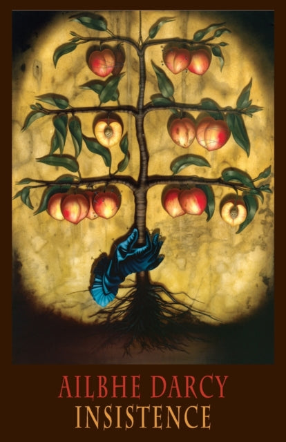 Book cover of: Insistence. By: Ailbhe Darcy