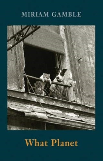 Book cover of: What Planet. By: Miriam Gamble