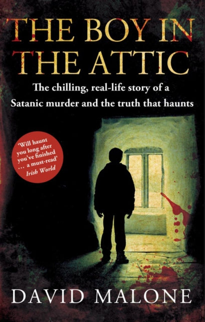 Book cover of: Boy in the Attic. By: David Malone