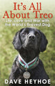 Book cover of: It's All About Treo