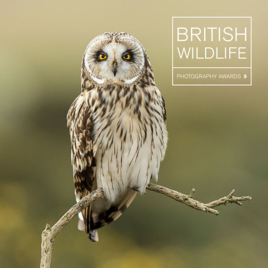 Book cover of: British Wildlife Photography Awards 9. By: Maggie Gowan
