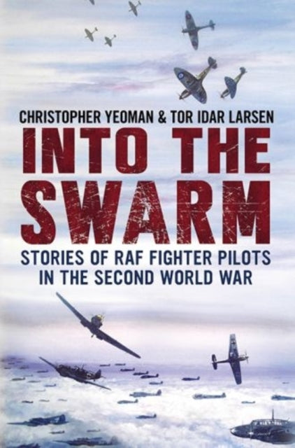 Book cover of: Into the Swarm