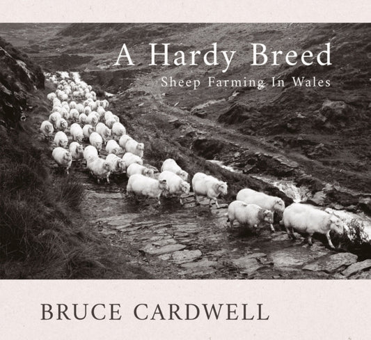 Book cover of: Hardy Breed. By: CARDWELL