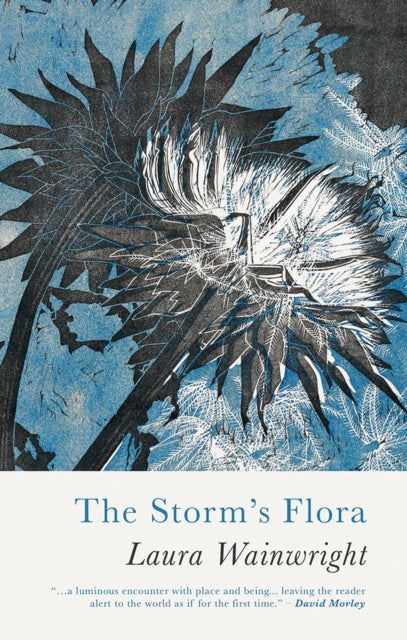 Book cover of: Storm’s Flora