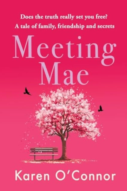 Book cover of: Meeting Mae. By: Karen OConnor