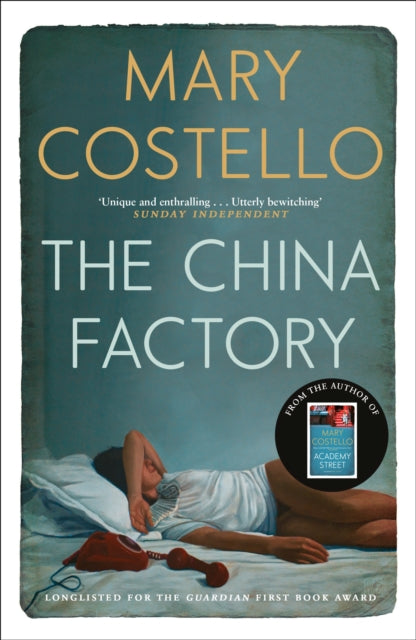 Book cover of: China Factory. By: Mary Costello