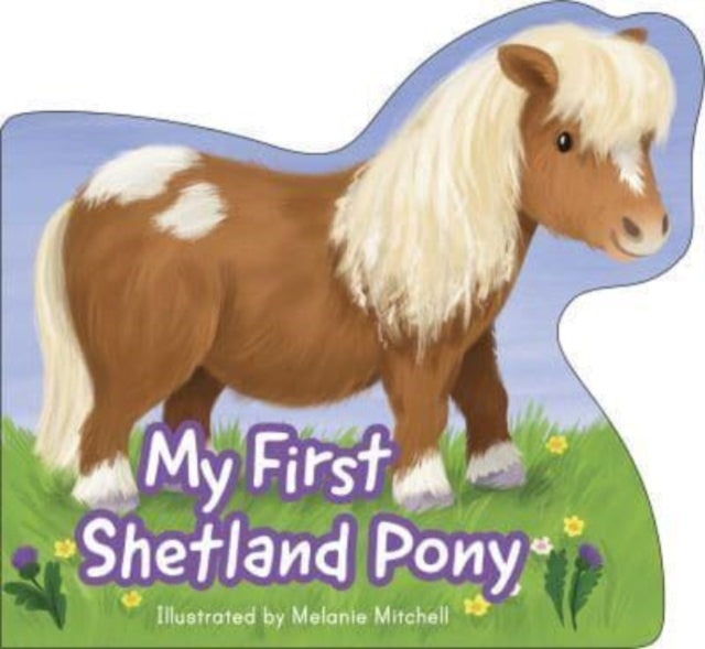 My First Shetland Pony 9781782508915 Melanie Mitchell