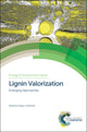 Book cover of: Lignin Valorization. By: Xiao Zhang