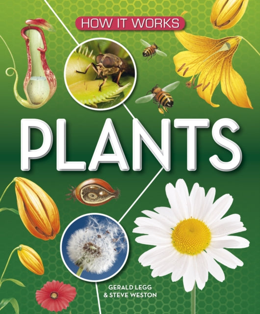 Book cover of: How It Works: Plants. By: AWARD