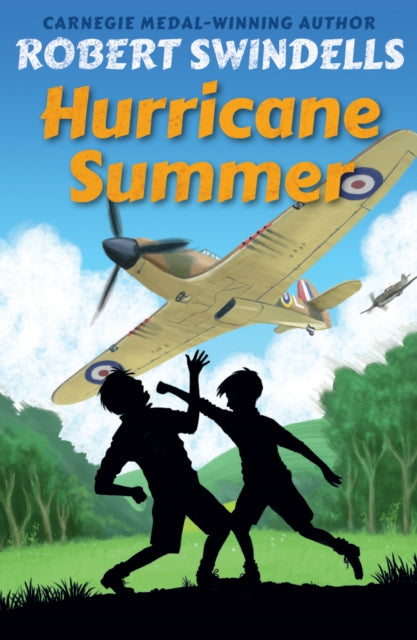 Book cover of: Hurricane Summer. By: Robert Swindells