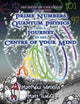 Book cover of: Secrets of Creation. By: Matthew Watkins