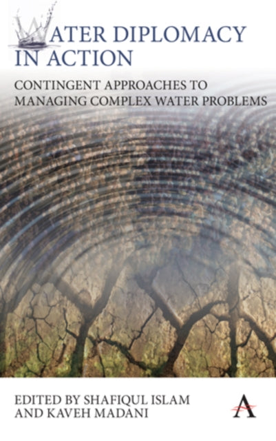 Book cover of: Water Diplomacy in Action. By: Shafiqul Islam