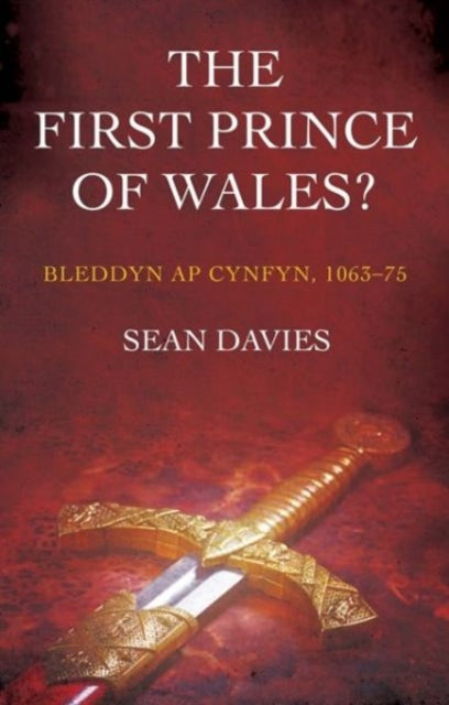Book cover of: First Prince of Wales?. By: Sean Davies