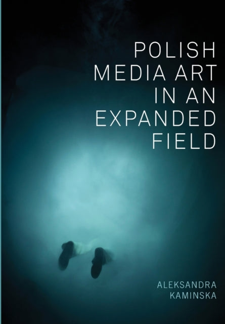 Book cover of: Polish Media Art in an Expanded Field. By: Aleksandra Kaminska