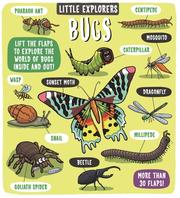 Book cover of: Little Explorers: Bugs. By: Staff Dynamo Ltd.