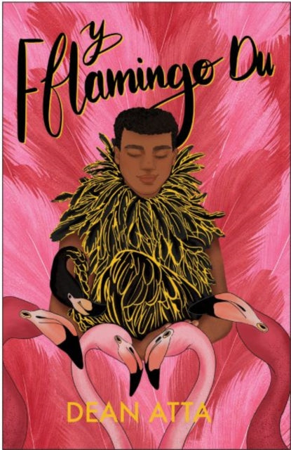Book cover of: Y Fflamingo Du