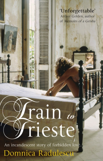 Book cover of: Train to Trieste. By: Domnica Radulescu