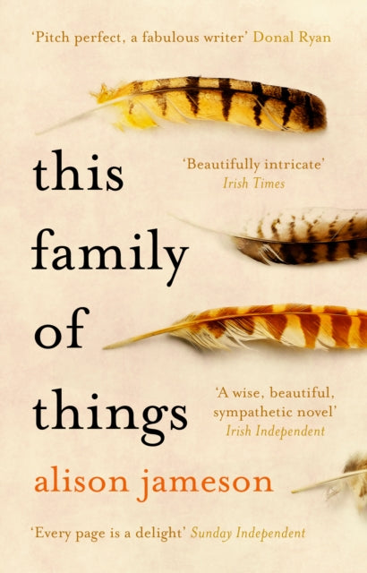 Book cover of: This Family of Things. By: Alison Jameson