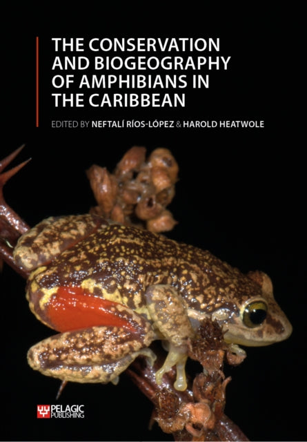Book cover of: Conservation and Biogeography of Amphibians in the Caribbean. By: Rios-Lopez Neftali