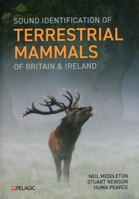Sound Identification of Terrestrial Mammals of Britain & Ireland