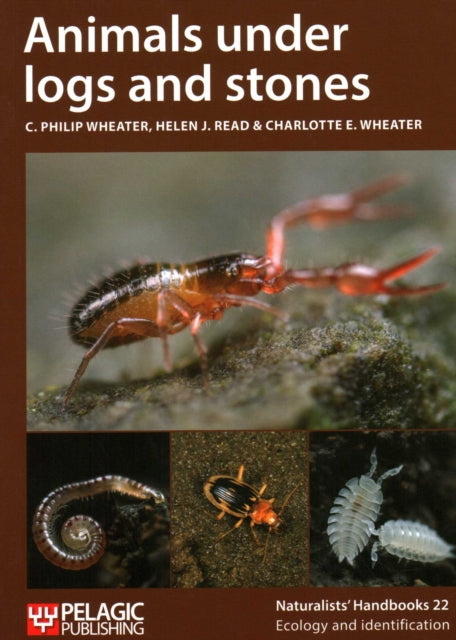 Book cover of: Animals under logs and stones. By: Helen J. Read