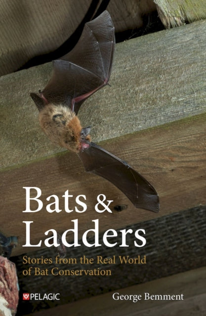 Book cover of: Bats & Ladders